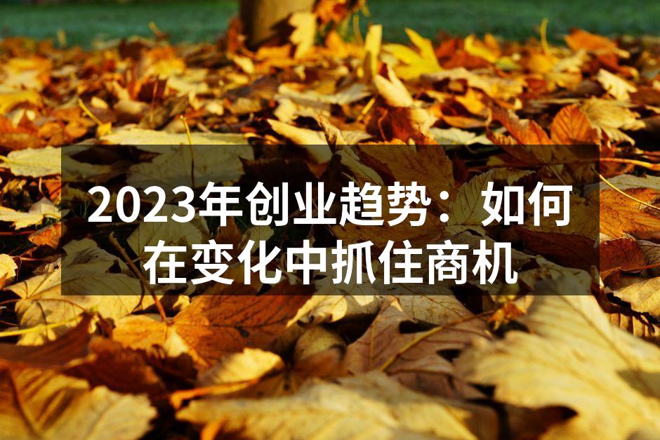 2023年创业趋势：如何在变化中抓住商机
