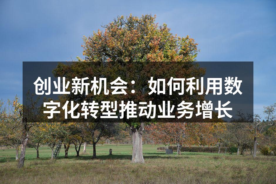 创业新机会：如何利用数字化转型推动业务增长