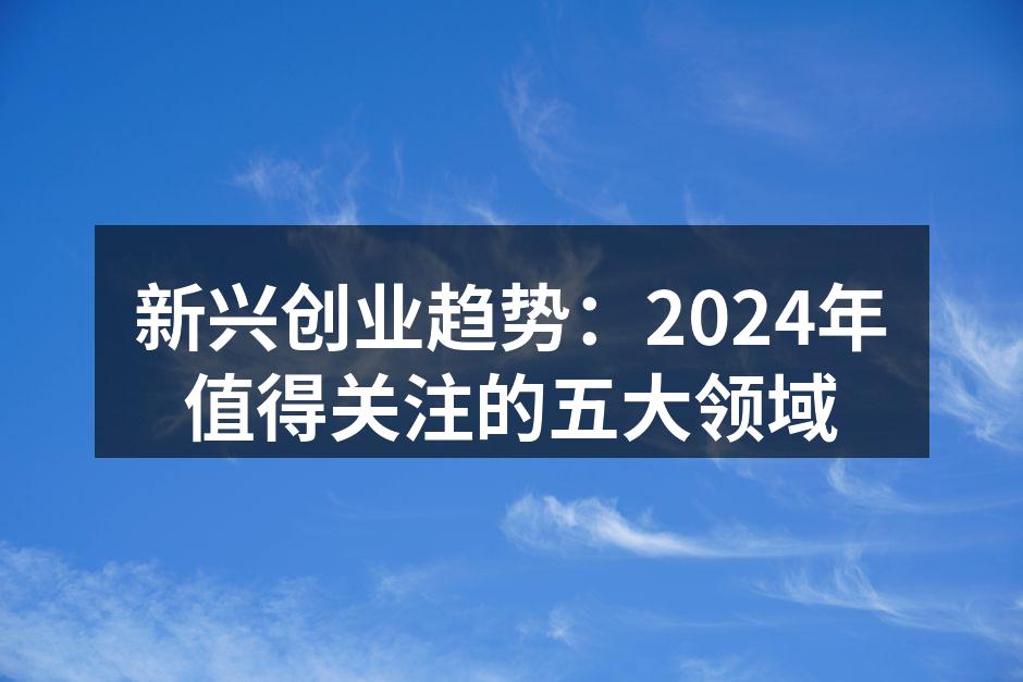 新兴创业趋势：2024年值得关注的五大领域
